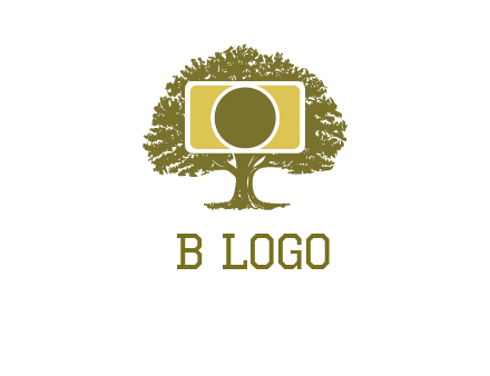 rectangle camera and tree photography logo