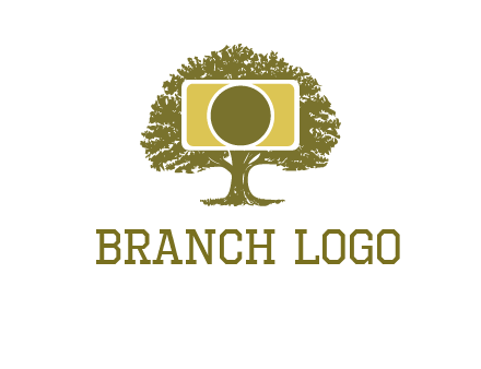 rectangle camera and tree photography logo