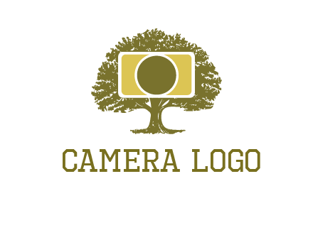 rectangle camera and tree photography logo