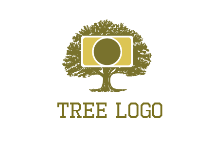 rectangle camera and tree photography logo