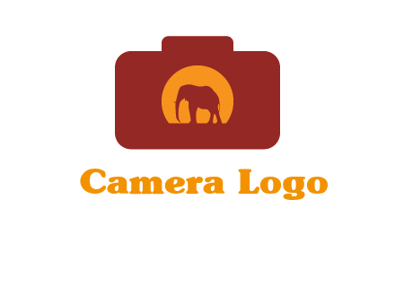 elephant in front of sun in camera