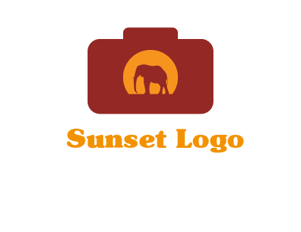 elephant in front of sun in camera