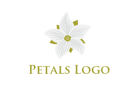 Madonna lily flower logo