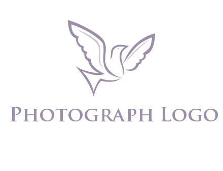 abstract bird logo