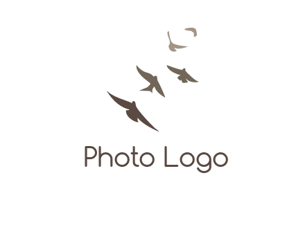 flying birds logo