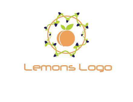 orange in circle with berries logo