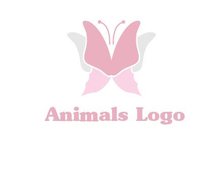 abstract butterfly logo