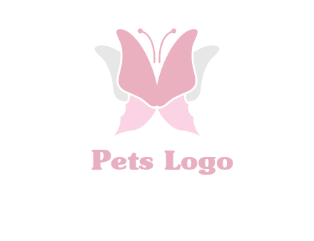 abstract butterfly logo